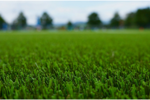 artificial grass in a sports field