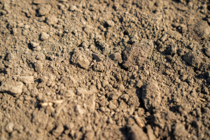topsoil laid on the ground