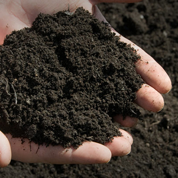 Bark Mulch, Top Soil & Turf