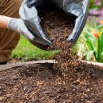 Bark Mulch, Top Soil & Turf