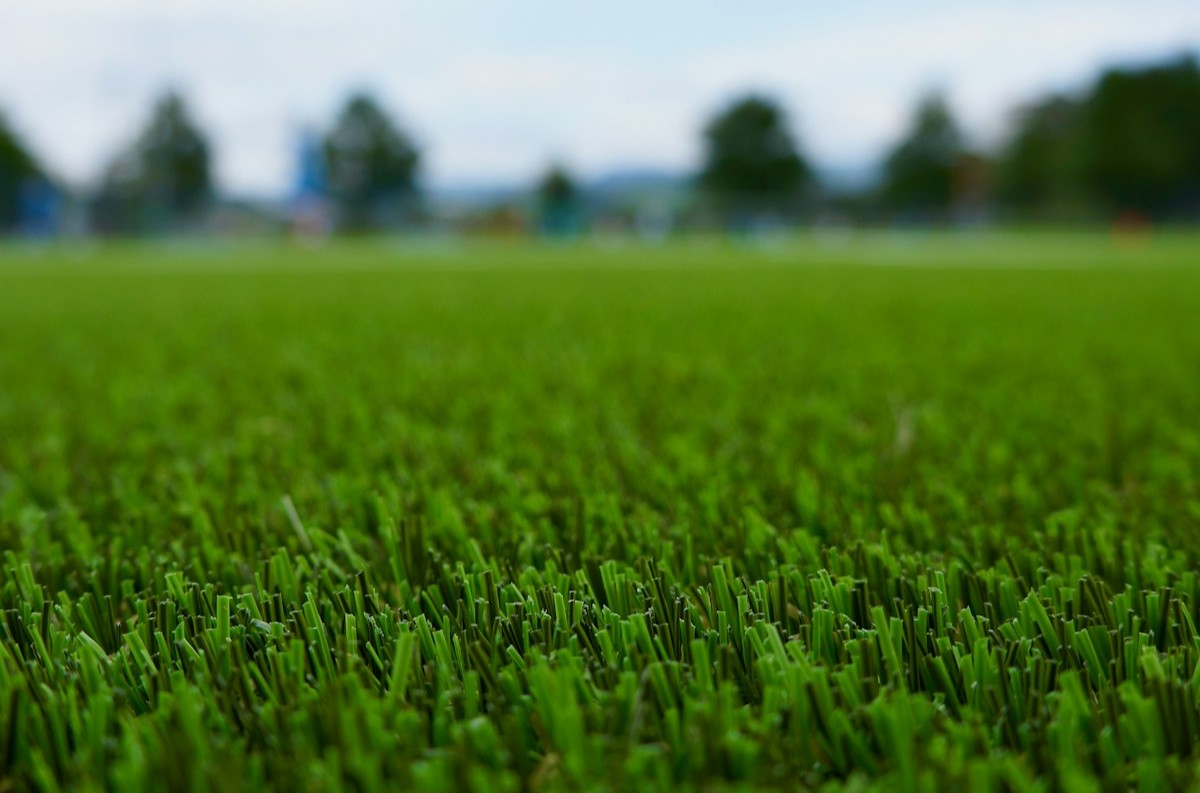 artificial grass in a sports field