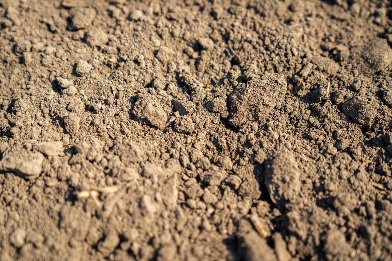 topsoil laid on the ground